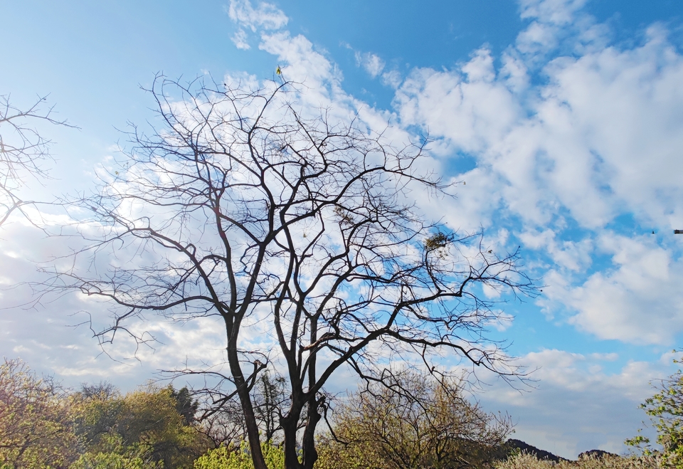 wwJr8JjPZT7To6yhScr6F51HEDQSrgrrYlfuEUiqK8ao3OtpWE-haK6u_YWTtbZV