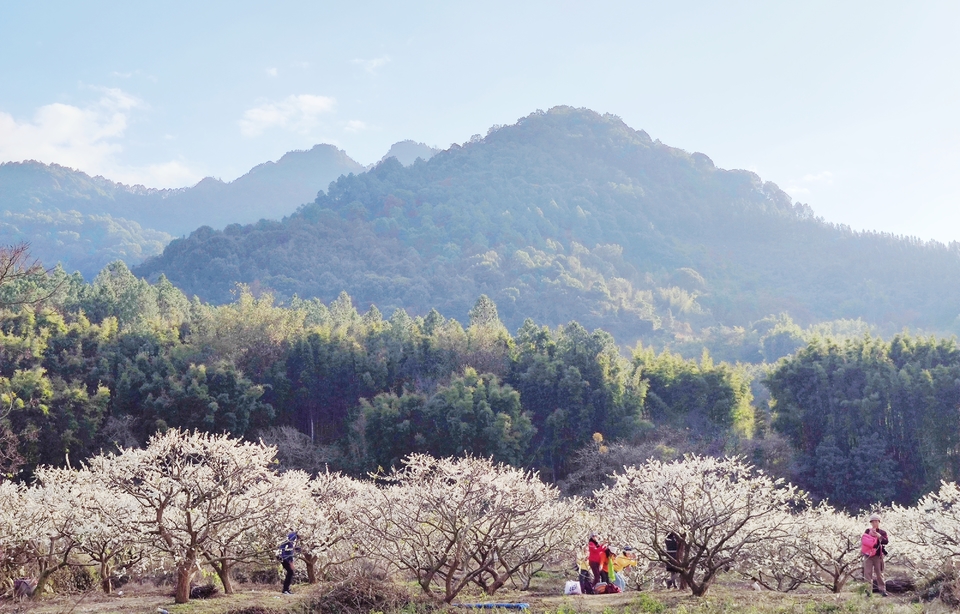 wwJr8JjPZT7To6yhScr6F6vsIn9-pwX3JfpJzMJtTrgj-7x0hPLtblIVBuIvuKLe