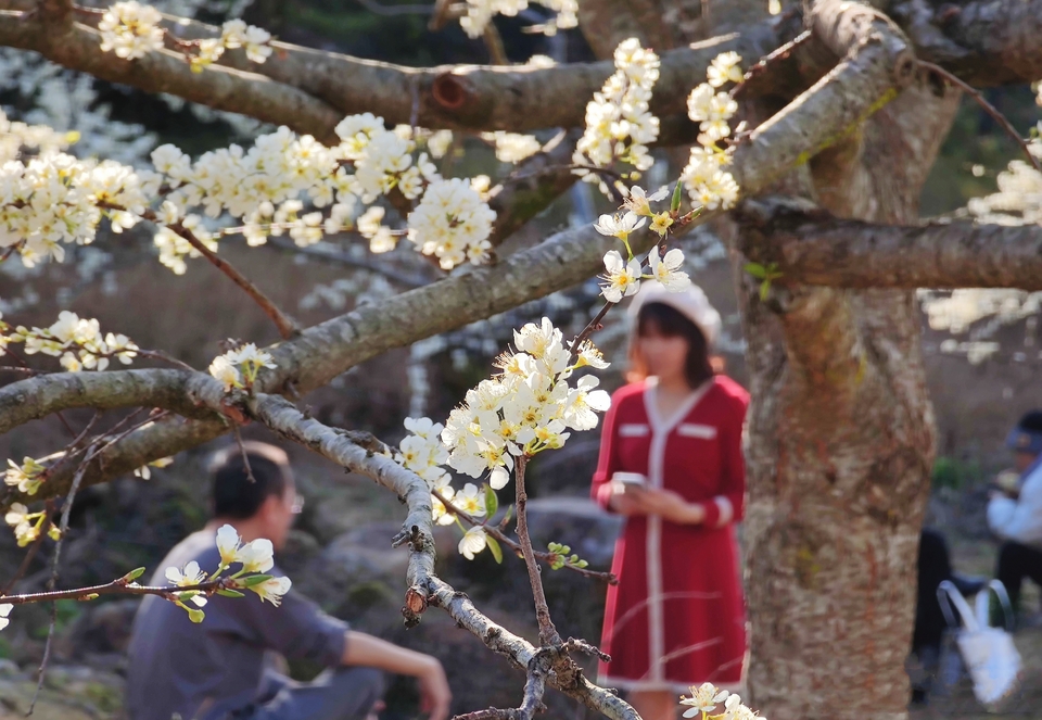 QUMi9DLlhWSDEd-QQuhaGDZwwLdmGER6us50A0htyBIzewhiiF0DDzHwgbZShtgo