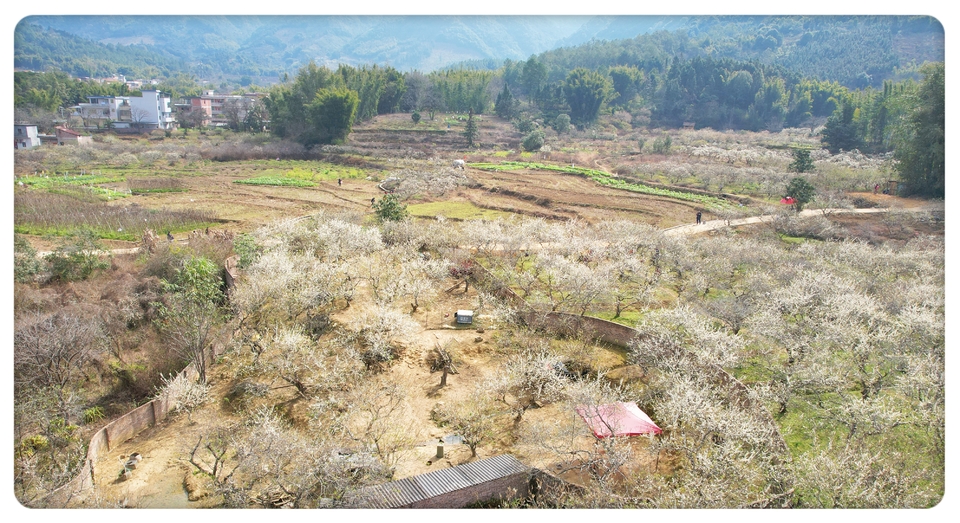 QUMi9DLlhWSDEd-QQuhaGDJSGjoziQpsAPDlJdKojZC2iagS2yt0-dc3BmQ4Jn8G