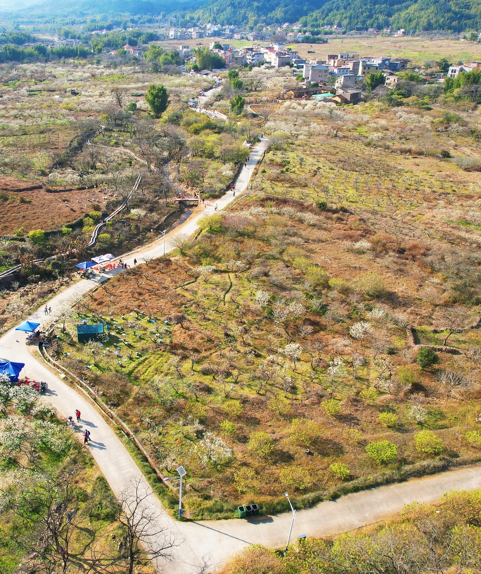 QUMi9DLlhWSDEd-QQuhaGC1QBzF15VJgQBYsDBttsQceCjbhGi0VydjGDhbjpZTj