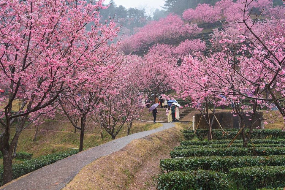 EhdDherLXwtPRy_u1r7-kWbISZ6sR171gfBMqWNNw0heraNi4-fCuG1BOK-P5S82