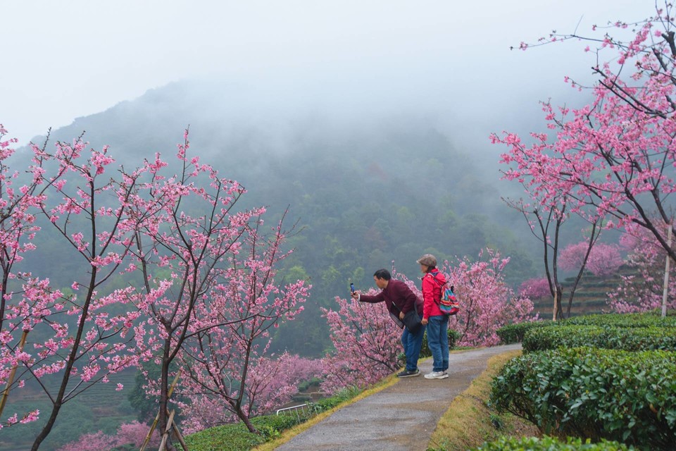 EhdDherLXwtPRy_u1r7-kZF80Fm0e4gkkX2KQtYTK5zYd_xuxIPaMMDWYostU13s