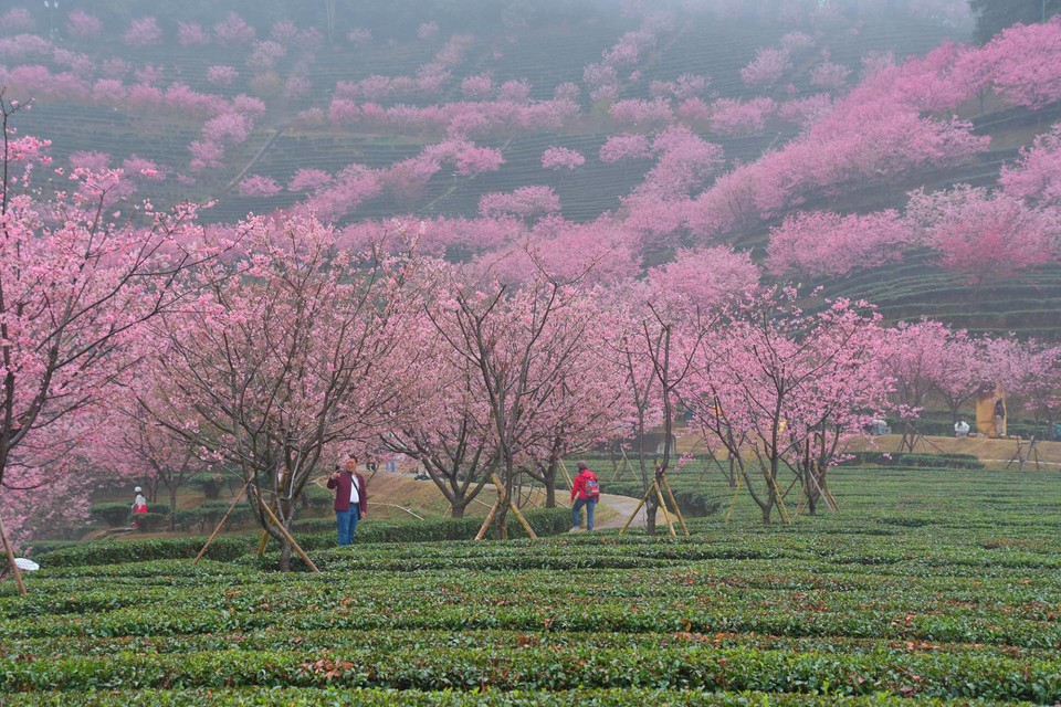 EhdDherLXwtPRy_u1r7-kRpyRom3sL08-ULwDmGTaRKIw6CYw-SZYa7CS_0JEod6