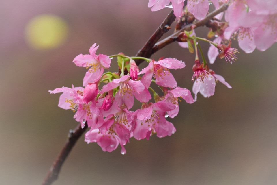 EhdDherLXwtPRy_u1r7-kVe8Jxl0Zwu5hTeKfaew2oAEbExVnsEpzL75dXGuOUks