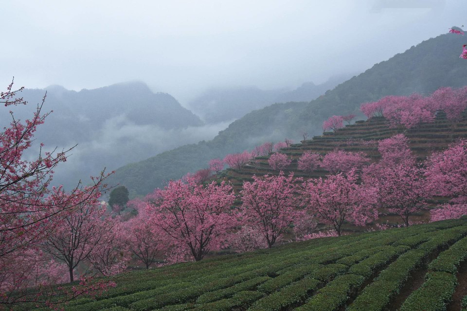 EhdDherLXwtPRy_u1r7-kfmEkSse4mgPpRGBtj3rIGm2Me7Q-t_RKRApt_rGIW85