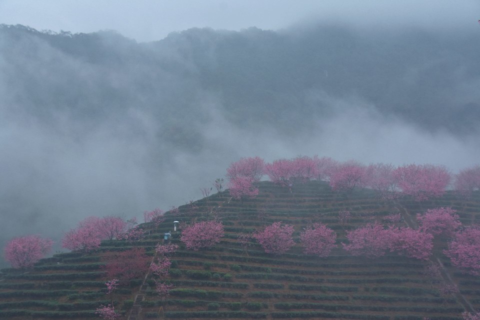 EhdDherLXwtPRy_u1r7-kUAoFYpzwVWT9uYmf09h4iie136J9s6uHeWIvc5TyvEa