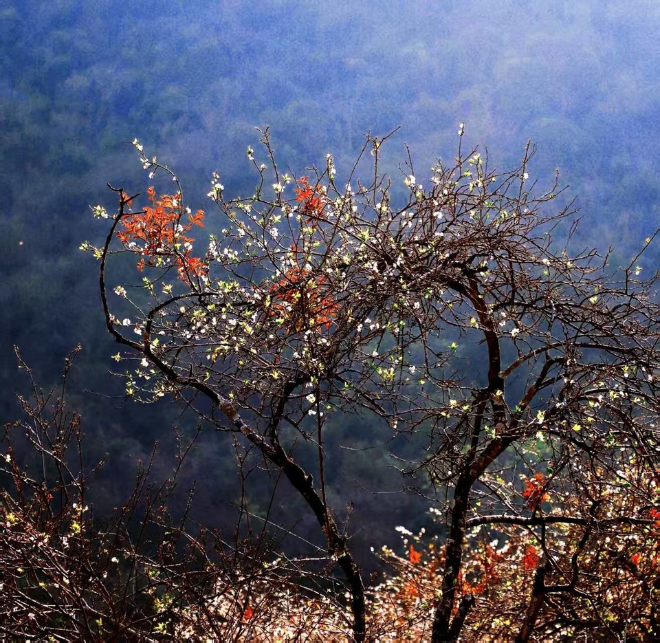 1TnjwShldGY-ljBqk75EDQPWyoIthRdrBU6G0glZV_JW2nkKTJagyd3Sm6f1NzzR