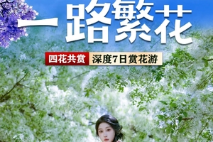 【一路繁花】7天昆明丽江西昌哀牢山四花共赏
