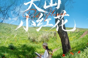 【天山小红花】7天伊犁草原初夏2~6人小团队