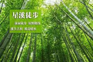 每周四/六日 | 徒步从化星溪穿越十里竹海 感受最美乡村小径 尝美味竹筒饭