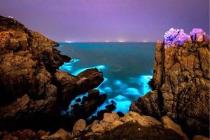 【平潭蓝眼泪】3天东方圣托里尼 神秘“蓝眼泪” 蓝天白云碧海 石厝风车落日 动车团