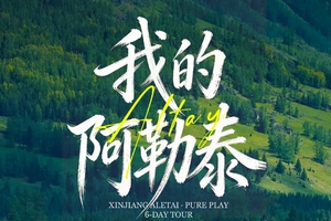 【新疆我的阿勒泰】6日  阿禾公路+喀纳斯+禾木+白哈巴+魔鬼城+S101国防公路