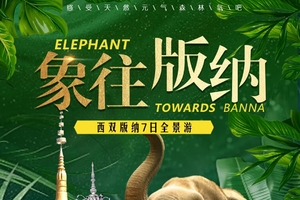 【云南象往版纳】7日 昆明-普洱-太阳河小熊猫-景迈山-版纳-总佛寺-野象谷-中科院-热带雨林徒步-星光夜市