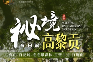 【云南秘境高黎贡】5日高黎贡山 毛毛球森林 玉璧古道 打鹰山 行程