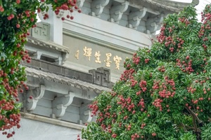 6月16日（周二） |  一天番禺宝墨园荔枝红 大稳村花海长廊之旅