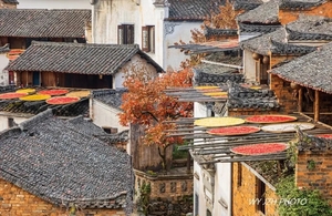 11月15日 | 7天秋色徽州 婺源 景德镇  呈坎 徽州古城 阳产土楼 石潭  塔川 宏村 特色摄影团