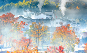 11月03日 | 6天湖北罗田红叶 最美乌桕 大鱼丸晒秋 大悟红叶之旅