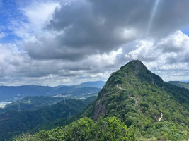周六\日出发【神湾丫髻山】打卡中山版小华山，深入神湾菠萝产地，体验摘菠萝乐趣，农家乐品尝菠萝餐