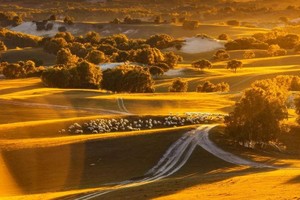 9月22日 | 6天金秋坝上 五彩斑斓秋日风光 万马奔腾 六天深度行摄双飞之旅