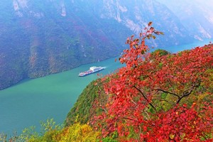 12月16日 | 5天三峡秋色 层林尽然 巴山楚水 长江三峡红叶摄影采风团