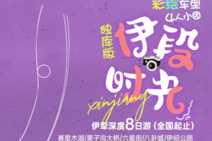 【伊段时光】独库公路伊犁草原小环线8天（4人团）