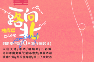 【一路向北】独库阿勒泰伊犁10天游（6人团）