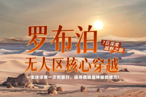 【大美山野·罗布泊】无人区核心越野车穿越7天之旅