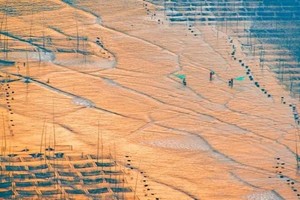 2025年度 | 霞浦海带季节追光逐影 闽地人文摄影7天之旅