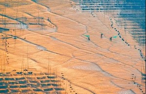 2025年度 | 霞浦海带季节追光逐影 闽地人文摄影7天之旅