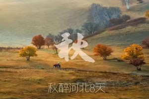 10月19日 | 8天秋醉河北 感受大北方的金黄秋色户外之旅