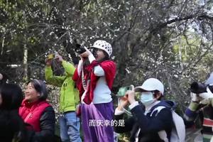 2025年春季年会回望