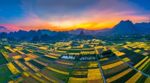 11月08日（周六） | 2天阳春马兰村 高坡镇金黄稻田 鱼王石日落奇观采风之旅