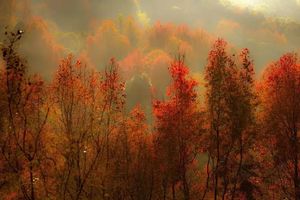 12月09日（周二） |  2天河源缺牙山枫叶漫山 晚霞日落风车山之旅