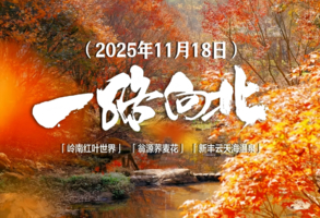 11月18日（周二） | 2天新丰岭南红叶世界 五星云天海温泉 翁源荞麦花之旅