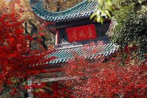 12月05日（周五） | 3天快摄长沙 岳麓山红叶 橘子洲头秋意凉爱摄之旅