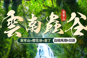 【云南虫谷】哀牢山-无量山樱花谷-沧源翁丁-景迈山樱花-版纳8日游