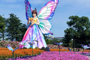 12月11日（周四） | 1天中山小榄菊展 顺德异木棉盛开会员活动