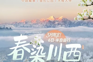 【大美梨花】6天春染川西8人精品团