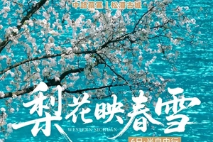 【大美四九】6天梨花映春雪