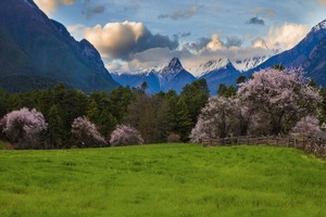 3月18日 | 8天冰川藏韵林芝 波密 然乌湖 来古冰川 嘎瓦龙冰川 索松村 加查  桑耶寺 扎囊摄影采风之旅
