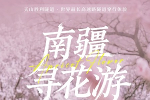 【南疆寻花】8天2~6人南疆赏花小环线