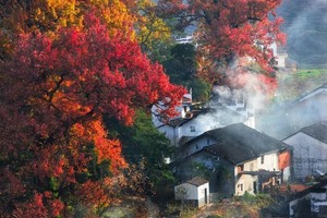 11月16日 |  7天婺源秋色 江岭篁岭 瑶里皇窑 塔川 宏村 姬公尖 石潭精品摄影团