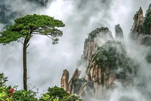 11月01日 |  7天庐山秋色 三清山 婺源石城篁岭晒秋之旅