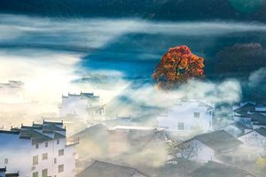 12月01日 | 婺源黄山皖南宁国水杉林中国宣纸文化园呈坎 大洲源 往返9日精品摄影团