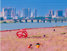12月06日（周六）| 1天三水芦苞粉黛乱子草 百年火车站悠闲下午茶会员活动