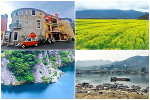 2月08日（周日） ｜最低59元起 ｜佛山油菜花 +日照金山 + 江边仓日落休闲1日