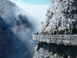 2月20/21出发成行【莽山1天1夜】缆车+电梯直达山顶，赏醉美的雾凇云海