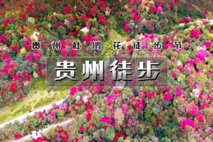 「已成团」清明4.3-4.6日｜火车•【百里杜鹃】2026贵州花季山野轻徒步の羊皮洞瀑布-百里杜鹃-三江古道｜4天3晚