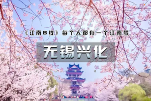 「已成团」清明3日｜大巴•【江南B•无锡兴化】烟雨江南の太湖鼋头渚樱花·网红拈花湾·蠡园桃花·兴化油菜花